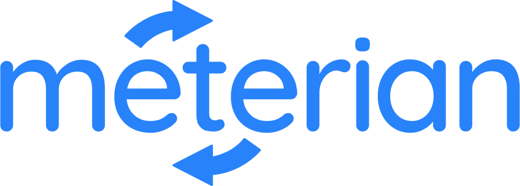 Meterian Logo